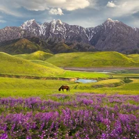 قابی زیبا از طبیعتِ لرستان