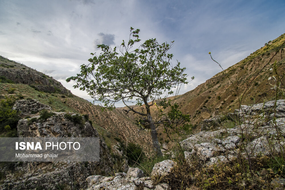 آبشار و دره زیبای بالی قایه در استان گلستان