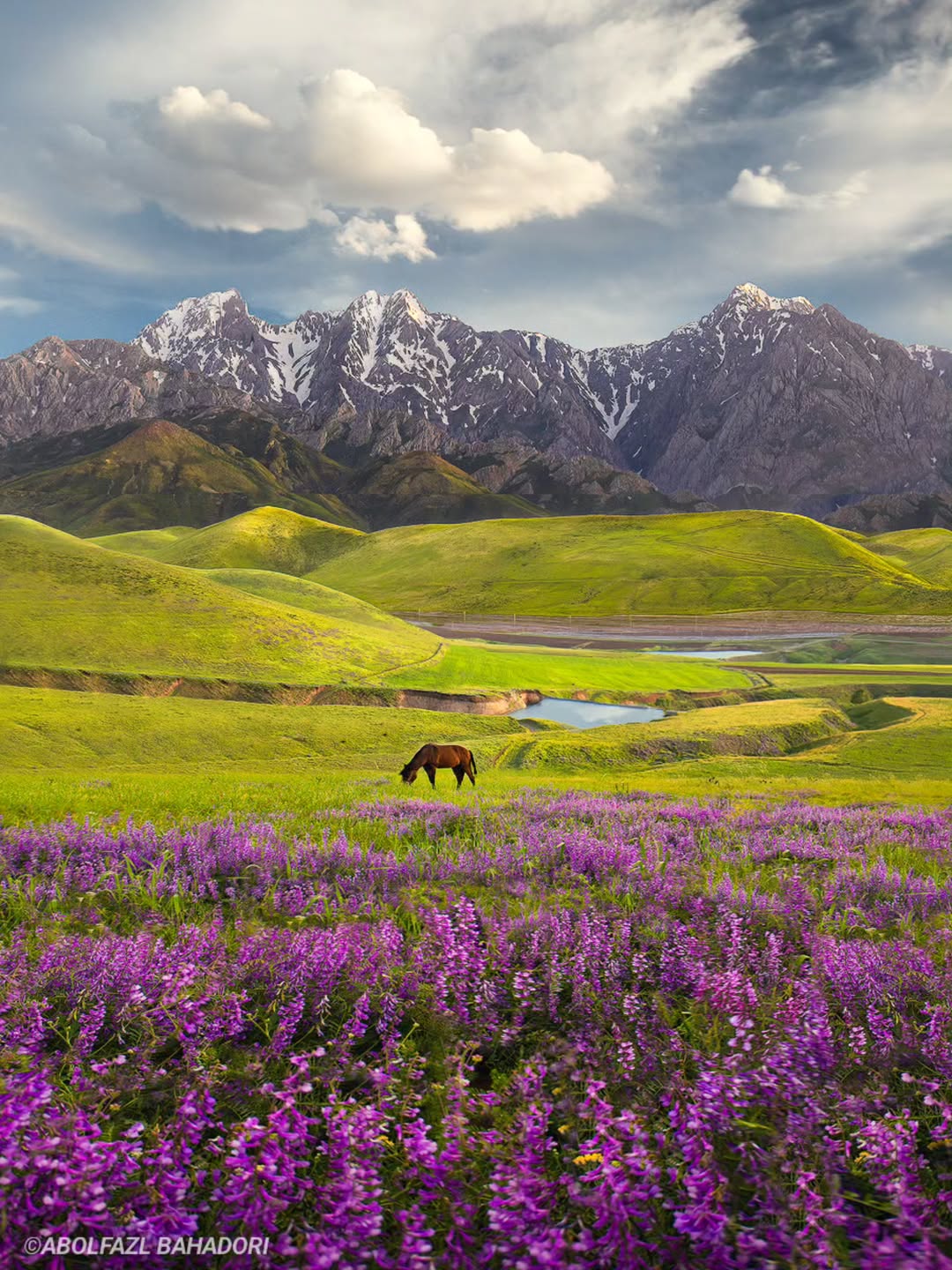 قابی زیبا از طبیعتِ لرستان