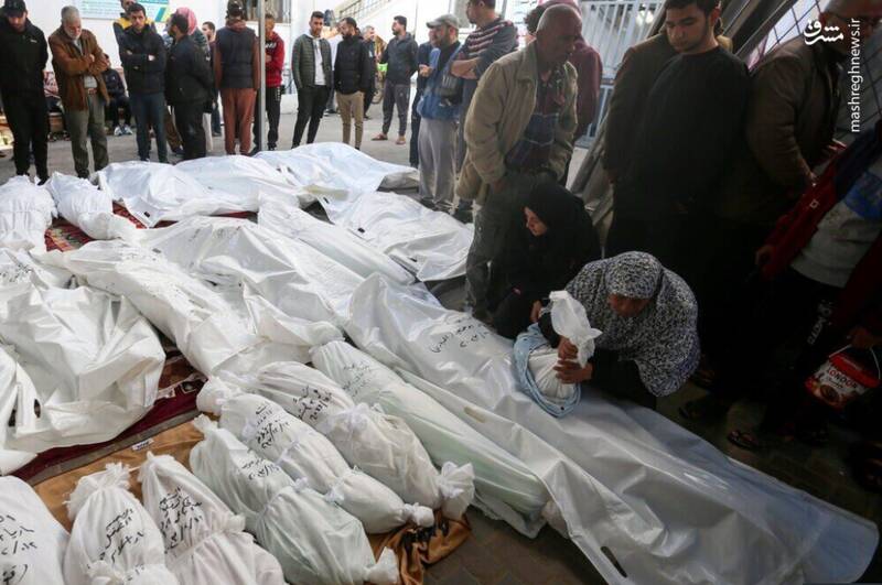 ۶۵ فلسطینی طی ۲۴ ساعت اخیر به شهادت رسیدند
