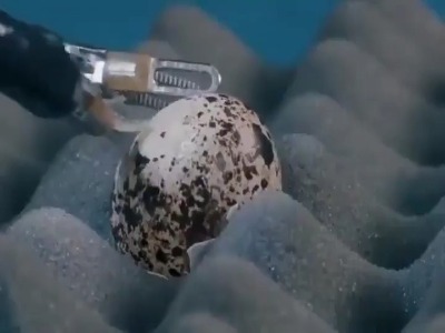 دقتِ ربات جراح در سوراخ کردن و بخیه‌ی زدن تخم بلدرچین!
