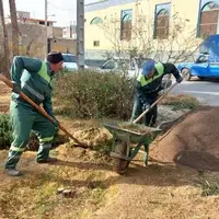 تا پایان سال ۱۴۰۴ کاشت ۵۰ هزار درخت در شهر زنجان انجام می‌شود