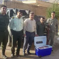 دستگیری متخلفان شکار در شهرستان لردگان