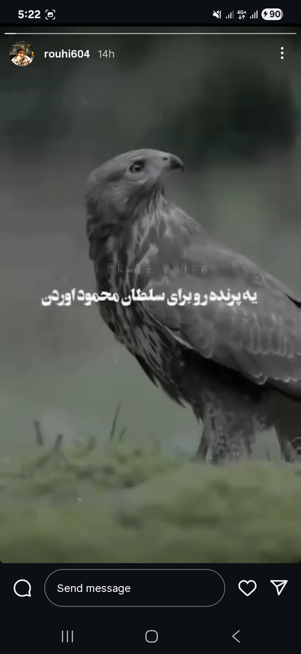واکنش گسترده چهرههای هرمزگان به تجاوز رژیم صهیونیستی