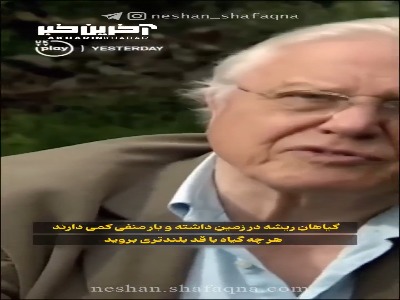 میدان الکتریکی در پیرامون گیاهان