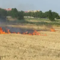 سوزاندن بقایای محصولات کشاورزی در قزوین ممنوع شد