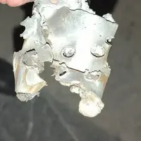 لاشه ۲ ریزپرنده در چهارمحال و بختیاری پیدا شد