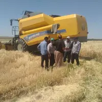 برداشت جو در بیش از ۳۸ هزار هکتار از اراضی آذربایجان غربی آغاز شد