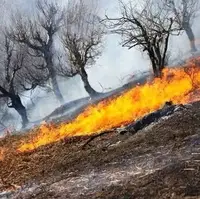 آتش‌سوزی جنگل‌های یاسوج مهار و خاموش شد