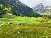 طبیعت سرسبز و دل‌نشین سوئیس