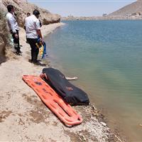 مرگ دو جوان آبدانانی در رودخانه وَرگَر؛ جزئیات حادثه از زبان فرماندار
