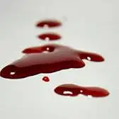دورهمی دوستانه به جنایت ختم شد