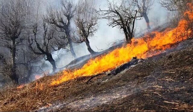 آتش‌سوزی جنگل‌های یاسوج مهار و خاموش شد