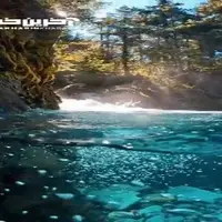 خالص ترین رودخانه یخی در آلاسکا