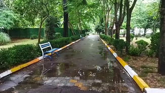بارش باران بهاری در گیلان