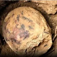 لحظه کشف سکه های تاریخی در یک کوزه توسط یک شکارچی گنج در آلمان