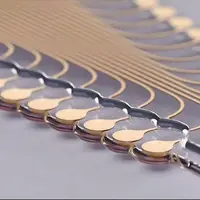 ردیابی رشد مغز از سطح تک سلولی تا پیشرفته برای اولین بار