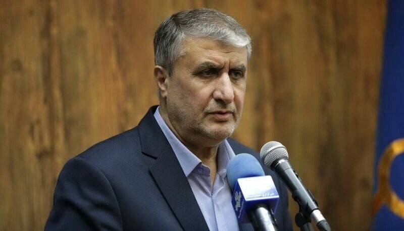اسلامی: ایران اقدامات حقوقی در ارتباط با بی‌عملی‌های گروسی را پیگیری می‌کند