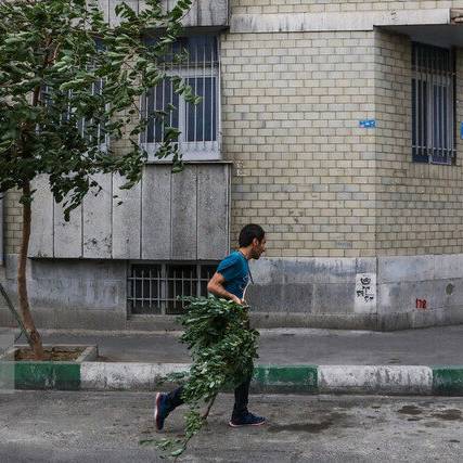 وزش باد شدید در تهران