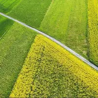 ۵ راهکار برای کاهش قابل توجه مصرف آب در کشاورزی