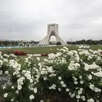تا ابد دوستت خوام داشت