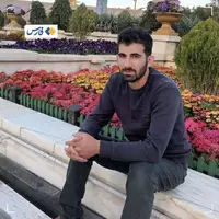 بوکسور استان البرز در حملات دیشب به شهادت رسید
