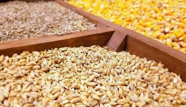 کشیک شبانه‌روزی دامپزشکی خوزستان برای تامین نهاده‌های دامی کشور