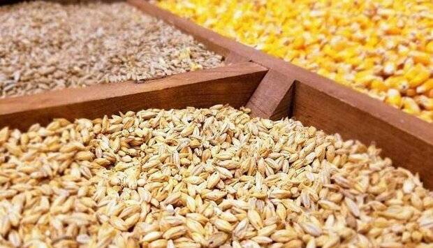 فرصت یک‌ماهه واردات نهاده‌های دامی آغاز شد