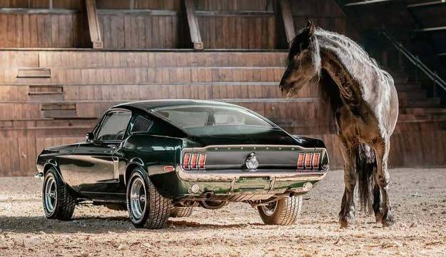 موستانگ Bullitt ۱۹۶۸؛ عضلانی آمریکایی در نمایی هنری