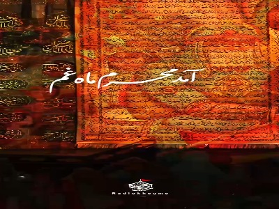 شد کشته تیغ ستم بر سینه صحرا حسین(ع)...