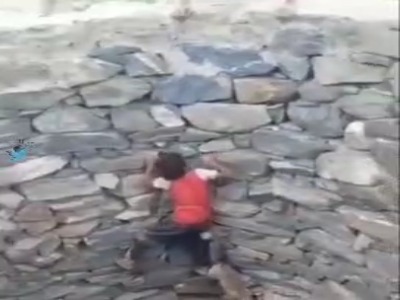 نجات ناموفق حیوان توسط پسربچه شجاع