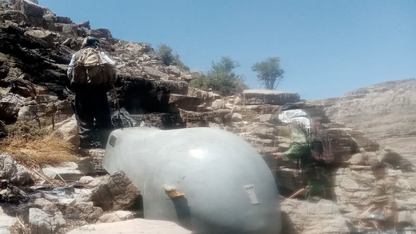 شکار هرمس اسرائیلی توسط مرد روستایی
