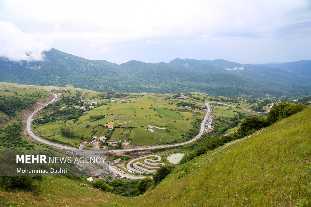 آغوش بابونه‌ها در شمال غرب ایران