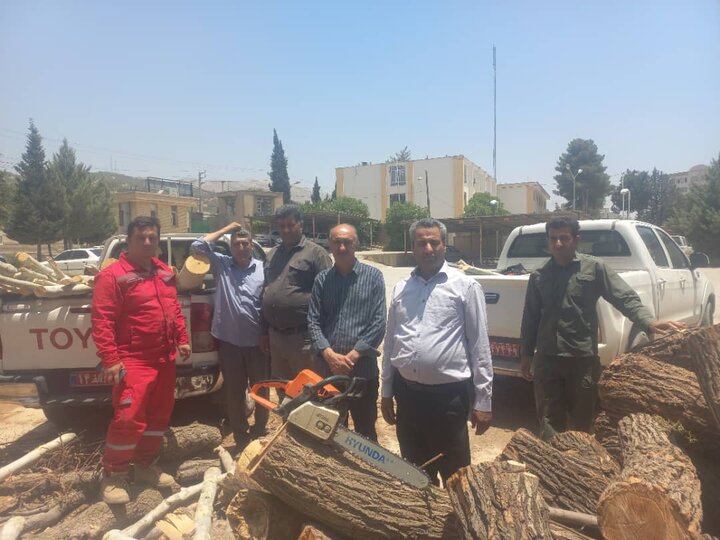 متخلف قطع درختان چنار در تنگ سریز شهرستان بویراحمد دستگیر شد