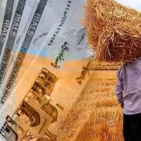 واریز ۵۴۷۷ میلیارد به حساب گندمکاران گلستان