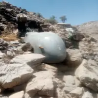 شکار هرمس اسرائیلی توسط مرد روستایی