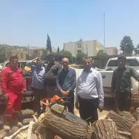 متخلف قطع درختان چنار در تنگ سریز شهرستان بویراحمد دستگیر شد