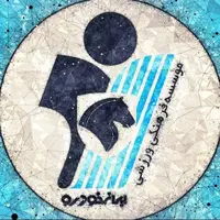پیکان با سرعت بنز بازیکن خرید!