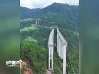نجات معجزه آسای راننده تریلی در آخرین لحظات!