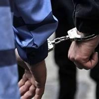 عامل مرتبط با رژیم صهیونیستی در خراسان شمالی دستگیر شد