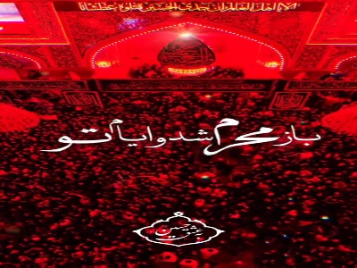 استوری/ ای همه تاریخ عزادار تو