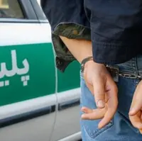 بوشهر، رتبه آخر کشور در جرایم شرارت را دارد