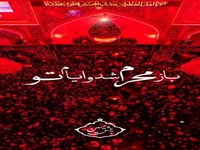 استوری/ ای همه تاریخ عزادار تو