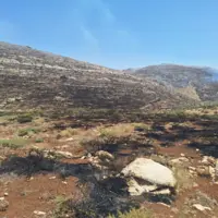 آتش در ۲۰۰ هکتار از مراتع دیناران مهار شد