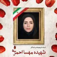 شهادت استاد دانشگاه هرمزگان در تجاوز رژیم صهیونیستی به خاک کشورمان