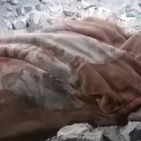 شهادت ۱۰ فلسطینی در بمباران شهر غزه