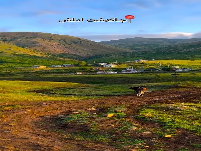 ییلاق زیبای چاکدشت شهرستان املش