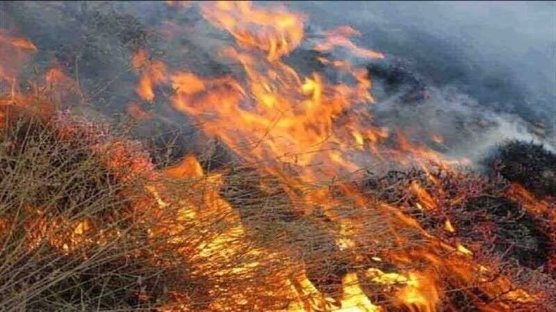 آتشسوزی گونزارهای درختچهای اردل مهار شد
