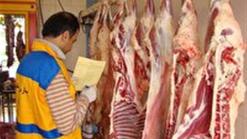 ارائه دو میلیون و ۳۴۰ هزار خدمت دامپزشکی در زنجان