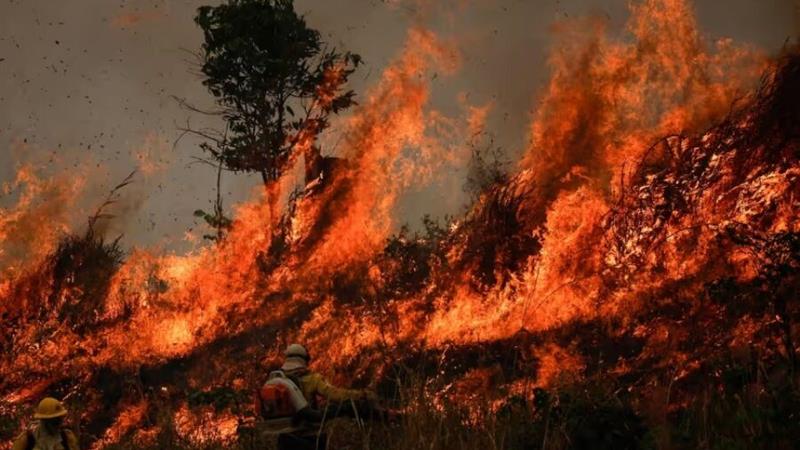 باز هم سهل انگاری و وقوع آتش سوزی در جنگل های ایلام